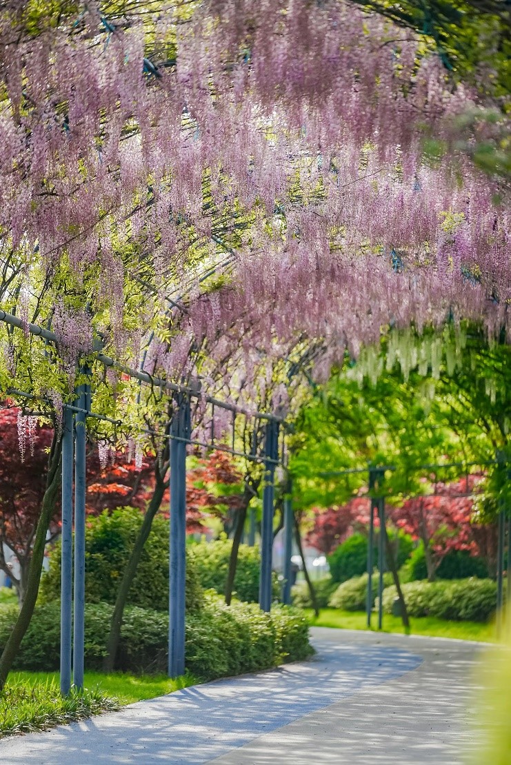 好光有生命，共建光合朋友圈